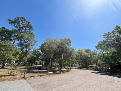 This nearly 5000sf Deeded Lot comes with 2017*Chariot Park - photo 50