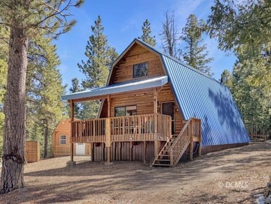 Navajo Lake Home For Sale in Duck Creek Village Utah
