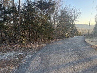 2+ Acre Secluded Property Within City Limits A rare find within - photo 1