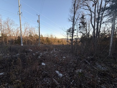 2+ Acre Secluded Property Within City Limits A rare find within - photo 2