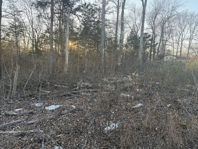 2+ Acre Secluded Property Within City Limits A rare find within - photo 3
