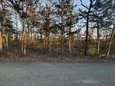 2+ Acre Secluded Property Within City Limits A rare find within - photo 4