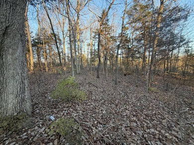 2+ Acre Secluded Property Within City Limits A rare find within - photo 5