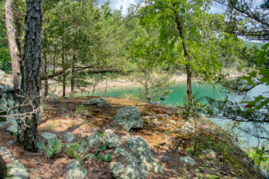 15+ Lake Front Acres with a Cabin and Private Dock! - photo 25