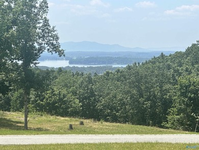 Enjoy extravagant views from the gated community of The Bluffs - photo 11
