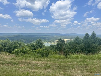 Enjoy extravagant views from the gated community of The Bluffs - photo 12