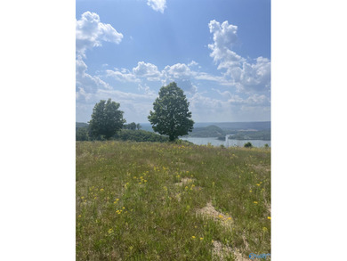 Enjoy extravagant views from the gated community of The Bluffs - photo 13