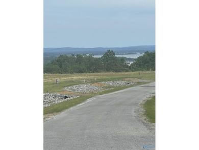 Enjoy extravagant views from the gated community of The Bluffs - photo 14