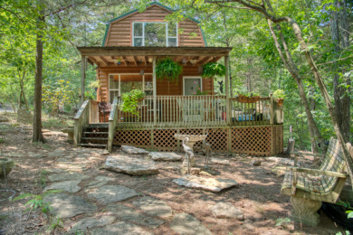 15+ Lake Front Acres with a Cabin and Private Dock! - photo 3