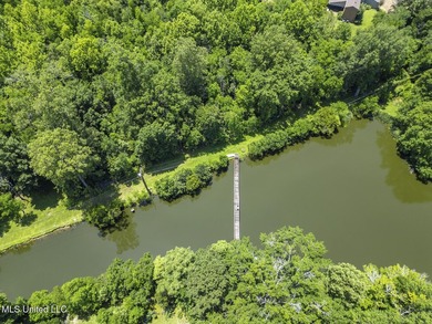 What a deal!! A Must Sell!! What a fabulous house in a most - photo 51