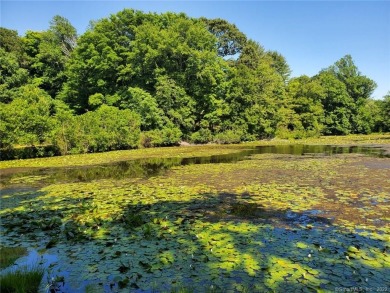 Lake Lot Off Market in Madison, Connecticut