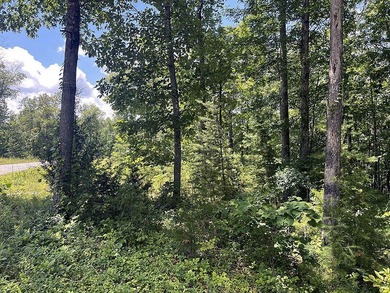 1.87 Acre Lake Cumberland Building Lot - photo 2
