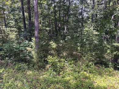 1.87 Acre Lake Cumberland Building Lot - photo 3