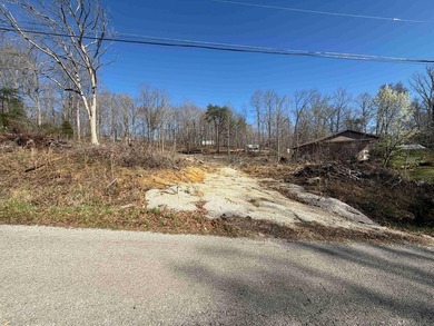 Lake Lot Near Conley Bottom - Ready for Your Dream Getaway Don't - photo 1