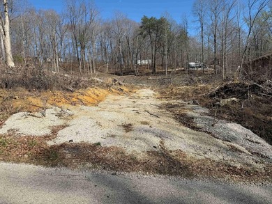 Lake Lot Near Conley Bottom - Ready for Your Dream Getaway Don't - photo 2