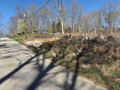 Lake Lot Near Conley Bottom - Ready for Your Dream Getaway Don't - photo 3