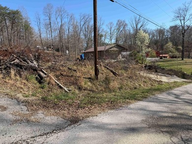Lake Lot Near Conley Bottom - Ready for Your Dream Getaway Don't - photo 4