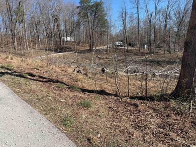 Lake Lot Near Conley Bottom - Ready for Your Dream Getaway Don't - photo 5