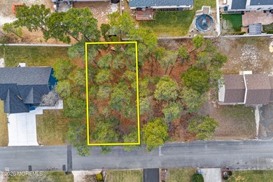Build your dream home in the desirable Pine Lake Park section of - photo 15