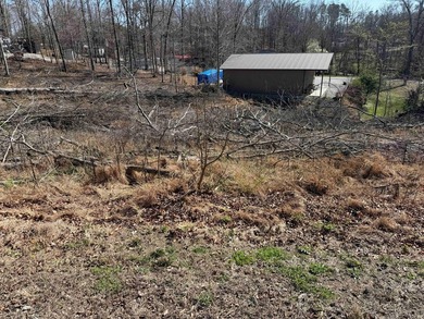 Lake Lot Near Conley Bottom - Ready for Your Dream Getaway Don't - photo 6