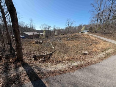 Lake Lot Near Conley Bottom - Ready for Your Dream Getaway Don't - photo 7