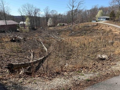 Lake Lot Near Conley Bottom - Ready for Your Dream Getaway Don't - photo 8