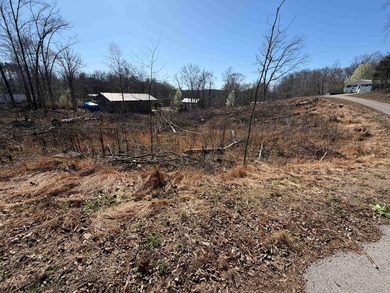 Lake Lot Near Conley Bottom - Ready for Your Dream Getaway Don't - photo 9