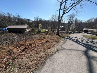 Lake Lot Near Conley Bottom - Ready for Your Dream Getaway Don't - photo 10