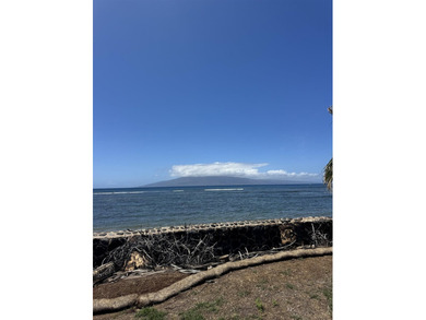 Oceanfront land in Lahaina it is located in the burn zone in - photo 2