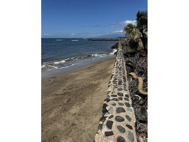 Oceanfront land in Lahaina it is located in the burn zone in - photo 4