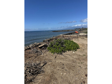 Oceanfront land in Lahaina it is located in the burn zone in - photo 6