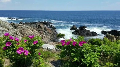 Absolutely beautiful Summer Home in highly sought after Resort! - photo 29