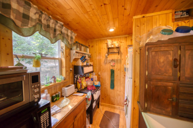 15+ Lake Front Acres with a Cabin and Private Dock! - photo 21
