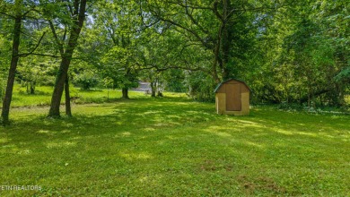 (private lake, pond, creek) Lot For Sale in Decatur Tennessee