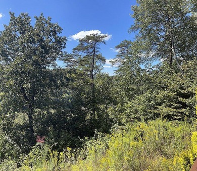 Excellent opportunity to own almost 1.6 acres in Stillwater- a - photo 3
