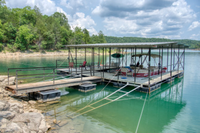 15+ Lake Front Acres with a Cabin and Private Dock! - photo 10
