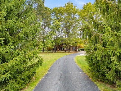 Experience refined lake living in this estate-style custom home - photo 46