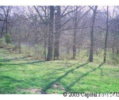 (private lake) Lot For Sale in Petersburg Illinois