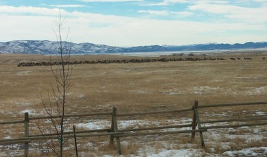 Welcome to The Elk Meadows Ranch located in Townsend, MT. Set on - photo 5