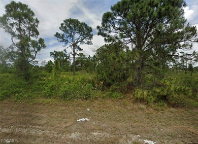 Lehigh Acres Area Lot For Sale in Lehigh Acres Florida