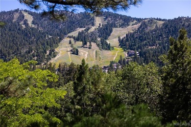 Perched among the trees in sought-after Moonridge, this - photo 21