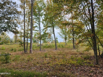 Watts Bar Lake Lot For Sale in Rockwood Tennessee