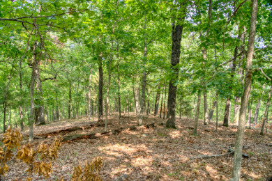 15+ Lake Front Acres with a Cabin and Private Dock! - photo 27