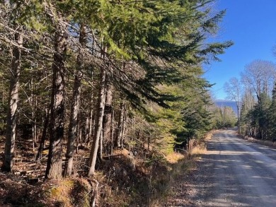 Lake Lot For Sale in Dallas Plt, Maine