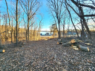 (private lake, pond, creek) Acreage For Sale in Tipton Michigan