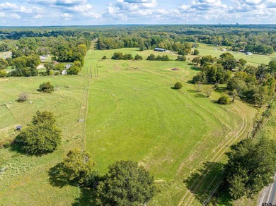 (private lake, pond, creek) Home For Sale in Tyler Texas