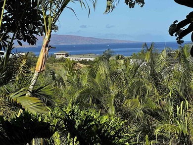 Perfectly positioned in Wailea Ekolu! The incredible ground - photo 1