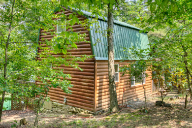 15+ Lake Front Acres with a Cabin and Private Dock! - photo 16