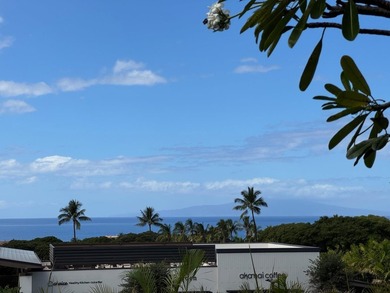 Perfectly positioned in Wailea Ekolu! The incredible ground - photo 2