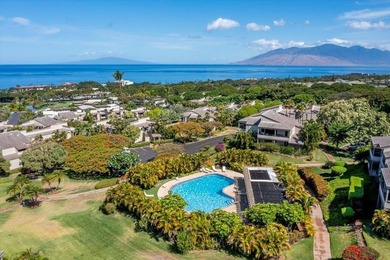 Perfectly positioned in Wailea Ekolu! The incredible ground - photo 3